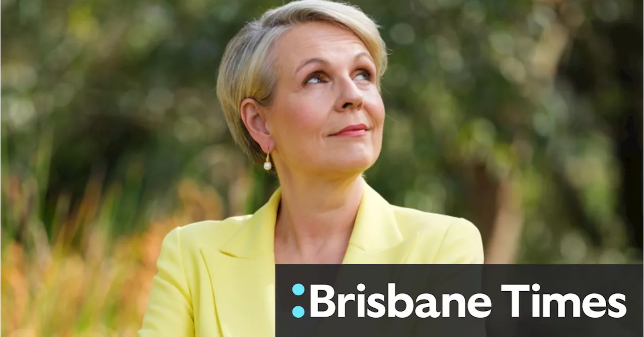 Why Tanya Plibersek is ‘absolutely prepared to put the blowtorch on Peter Dutton’