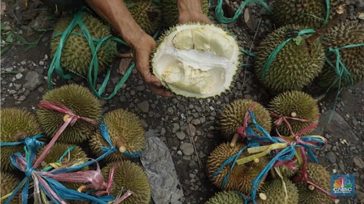 6 Makanan Ini Bisa Bahaya Jika Dikonsumsi bersama Durian