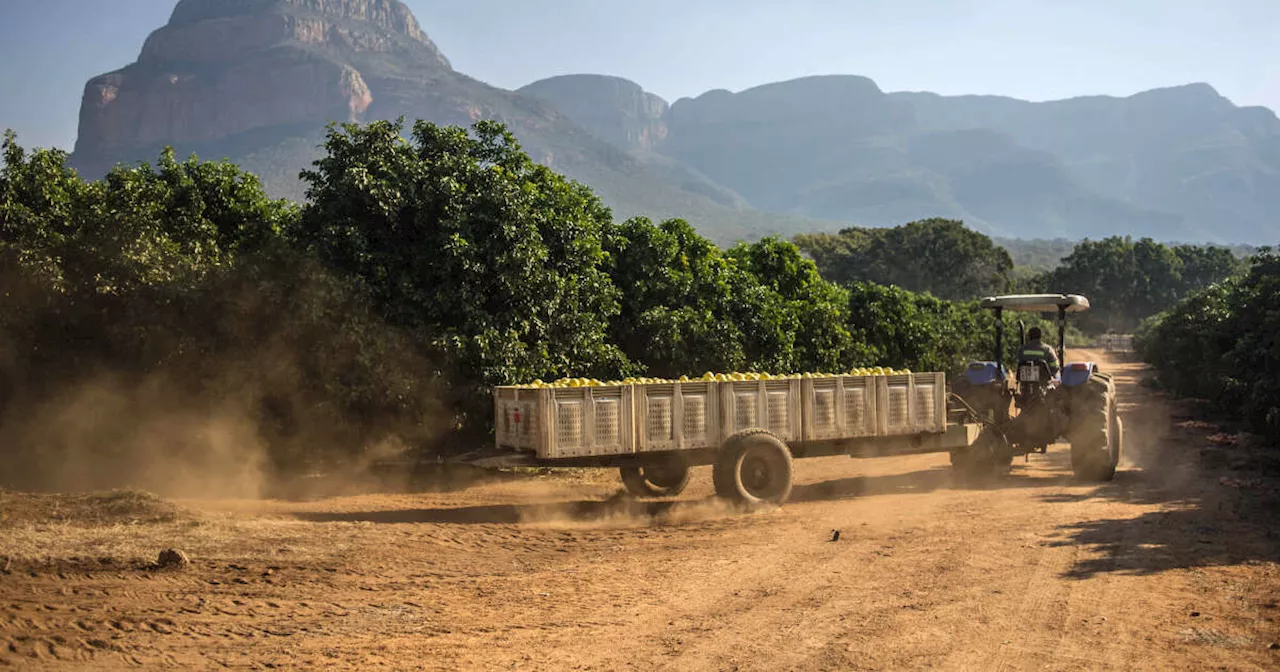 En Afrique du Sud, un double meurtre témoigne de la violence raciale dans les campagnes