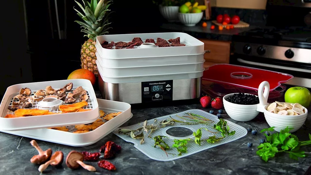 The 5 Best Food Dehydrators In Canada In 2024