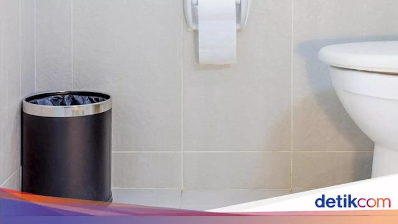 Ada Larangan Buang Tisu ke Toilet, Ternyata Damage-nya Nggak Main-main!