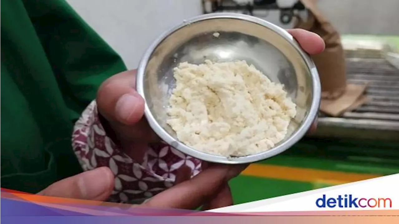 Jurus KKP Dorong Susu Ikan Masuk Program Makan Bergizi Gratis