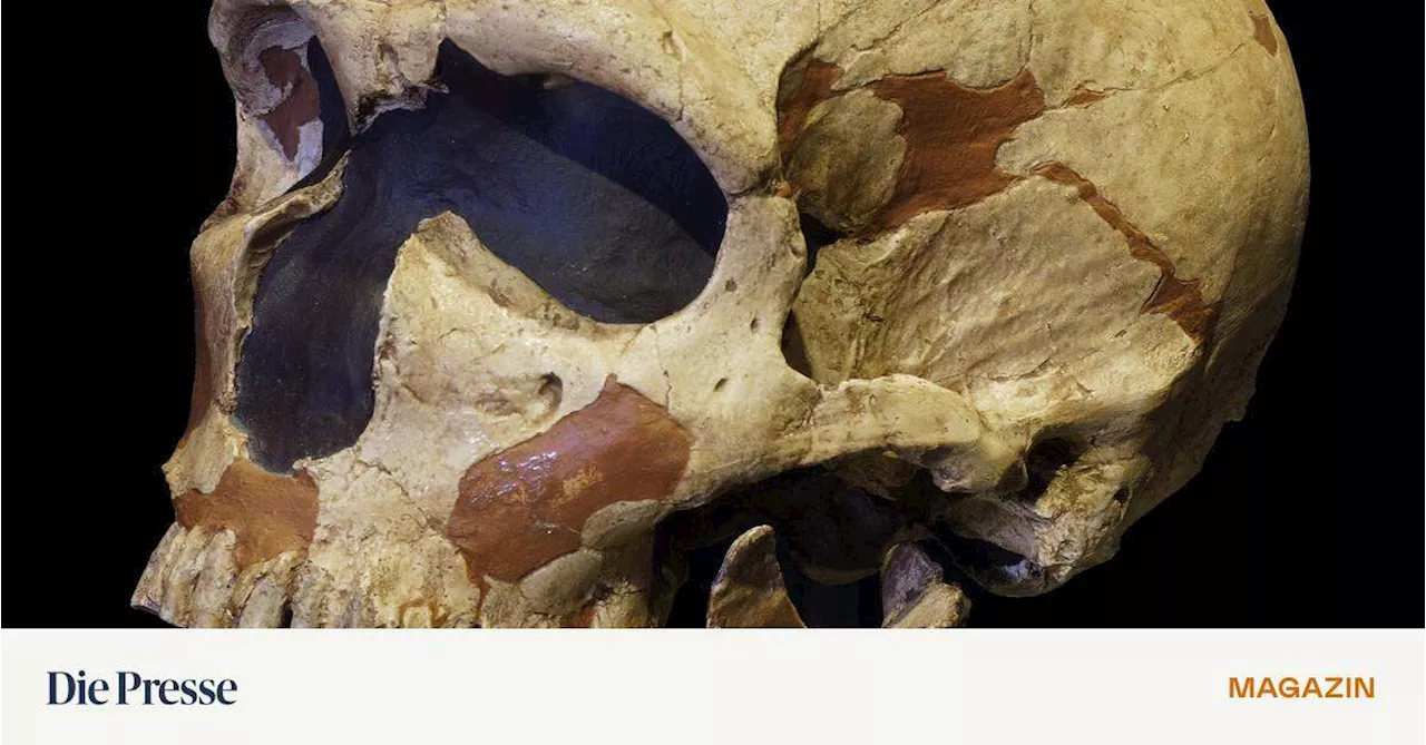 Das Geheimnis des Neandertals