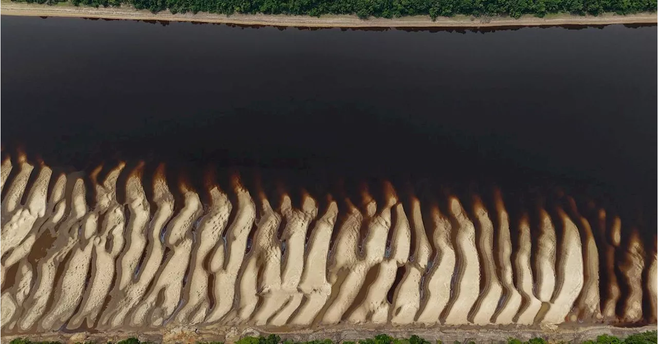 Was ein ausgedünnter Amazonas und ein beschauliches Genf gemeinsam haben