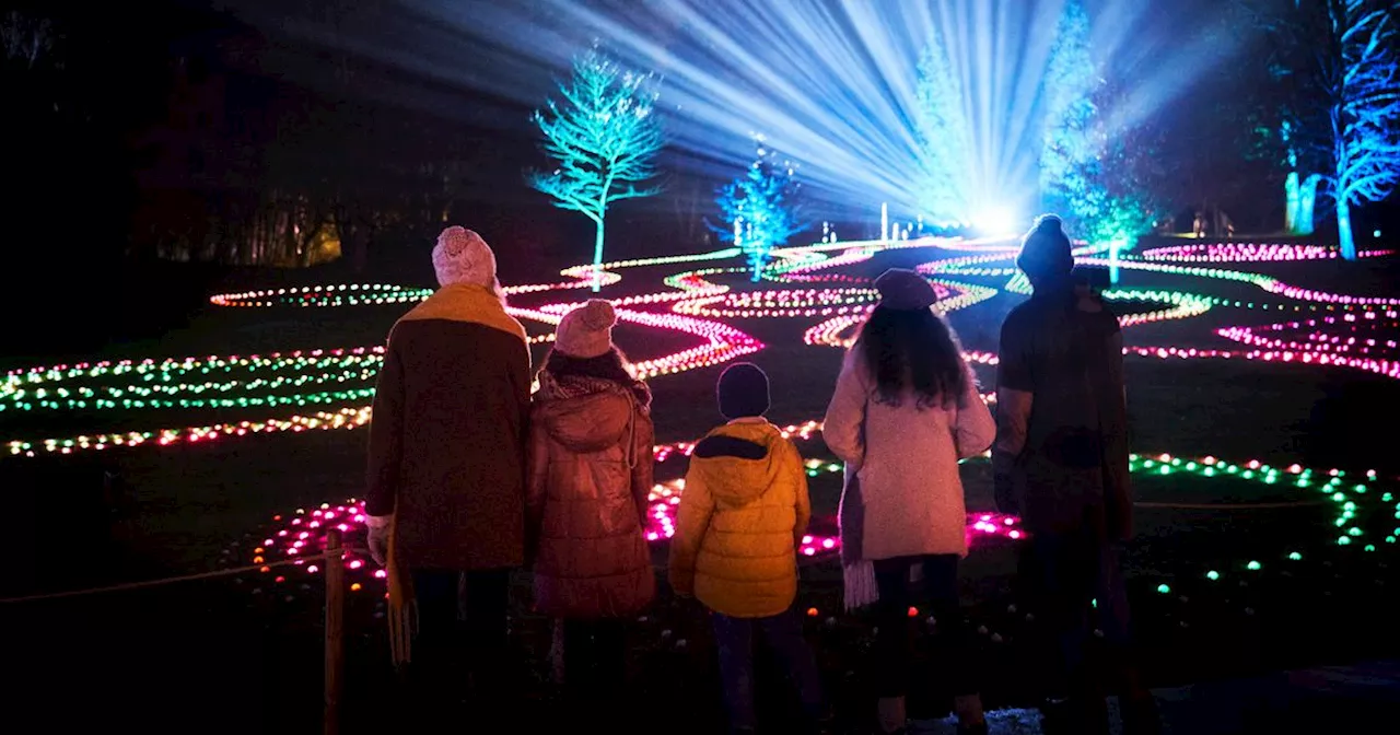 Chester Zoo light trail returns bigger and better for 2024