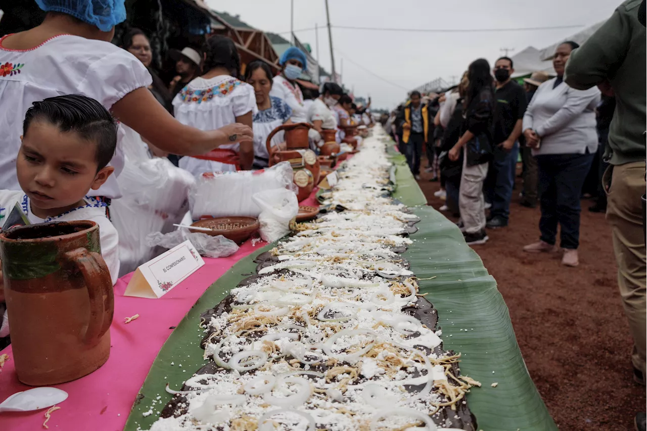 ¡No te la pierdas! Con enmolada de 80 metros, inauguran Feria Nacional del Mole en Milpa Alta; estará abierta hasta el 27 de octubre