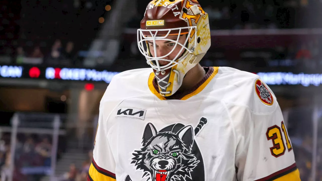 Chicago Wolves games to be televised live on FOX Chicago Plus