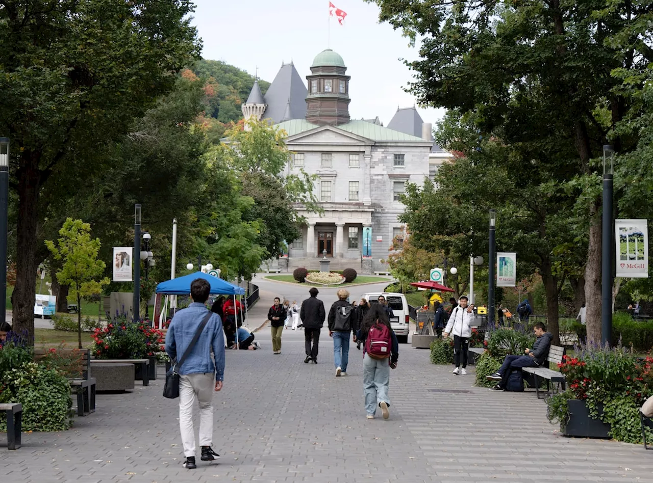 We don’t need no education: How Canada’s broken university system holds us back