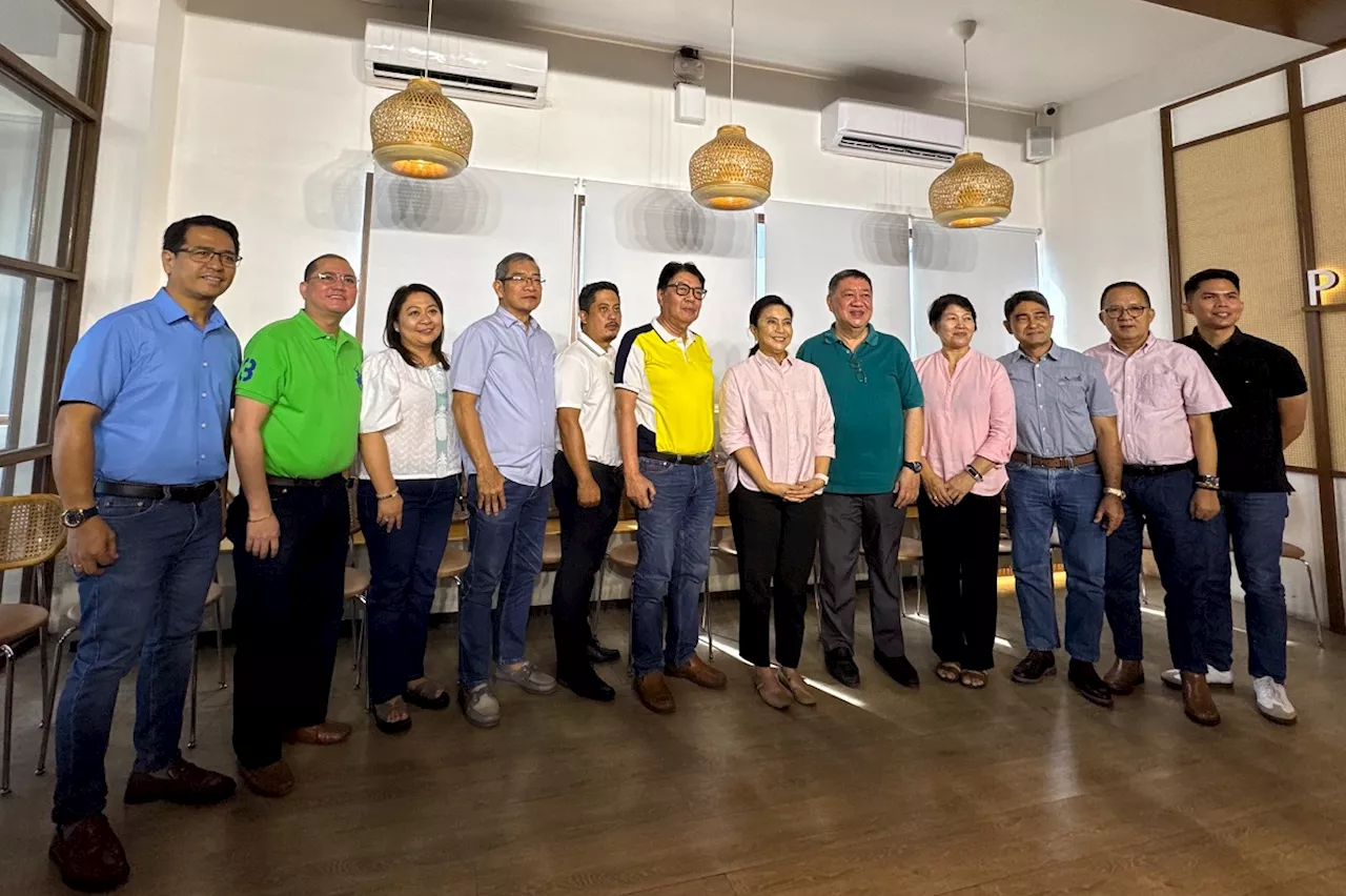 Leni Robredo announces Naga City mayoral bid