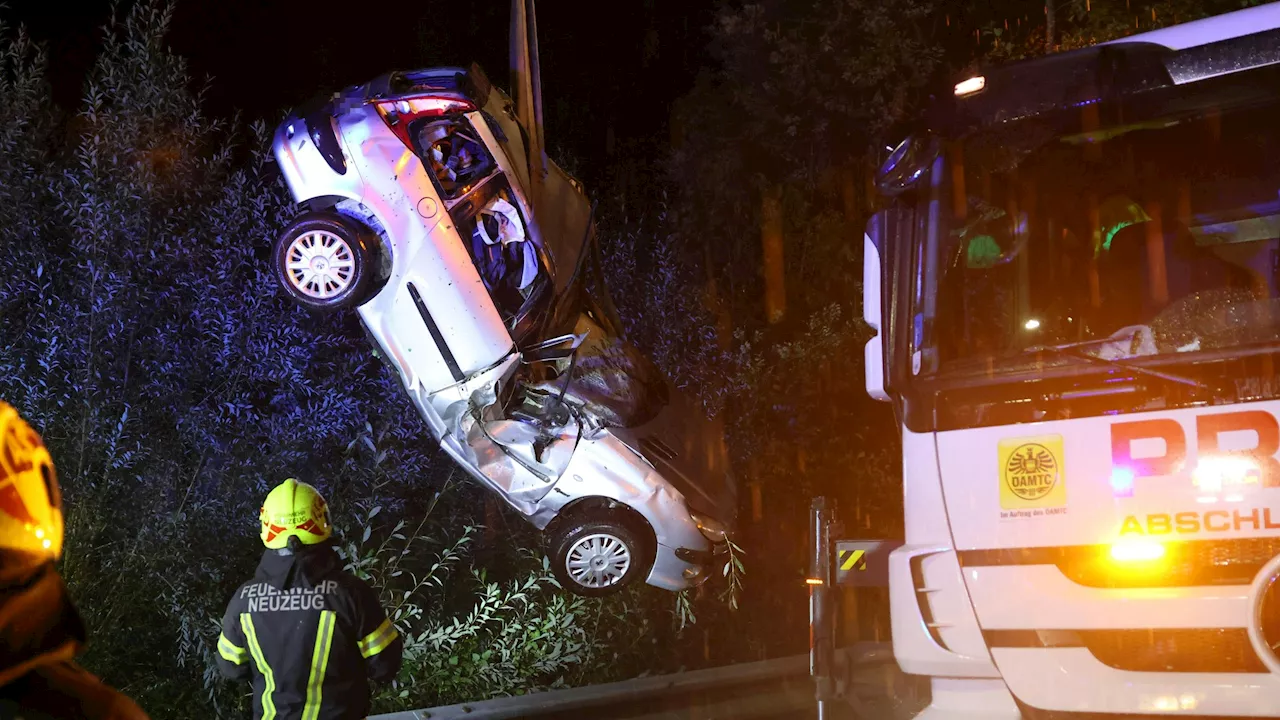 Auto fällt Baum – Lenker (24) überlebt Horror-Crash