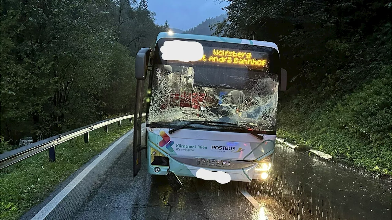 Baum stürzt auf Fahrbahn, Bus kann nicht ausweichen