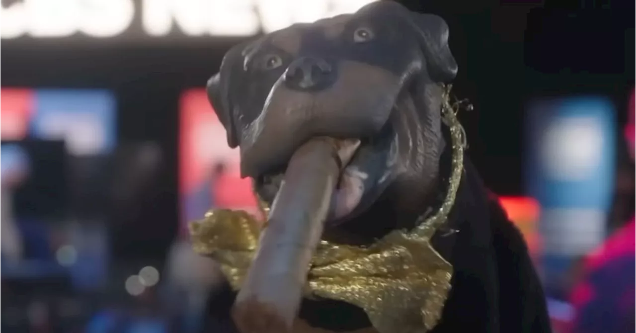 Triumph The Insult Comic Dog Scorches Donald Trump Jr. With Brutal JD Vance Burn