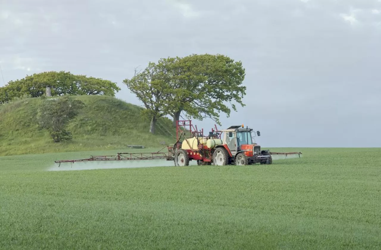 Forskning øger mistanke: PFAS fra pesticider kan ende i drikkevand