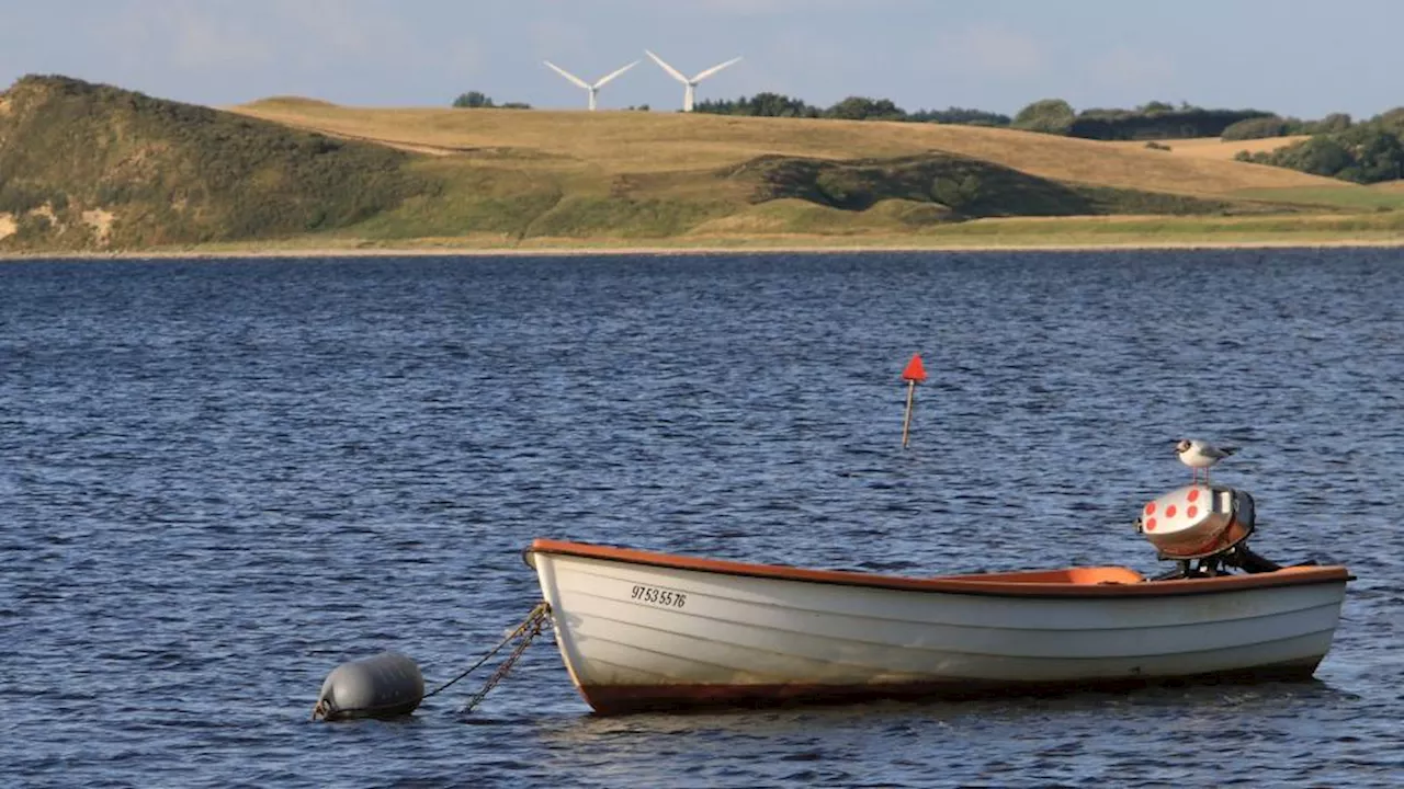 Limfjorden er fuld af mikroplast: Truer dyreliv og menneskers sundhed