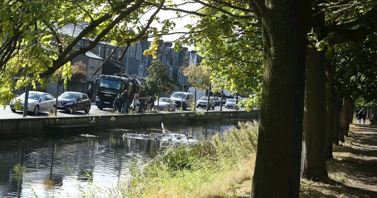 Asylum seekers cleared from Grand Canal by gardaí within minutes of arriving