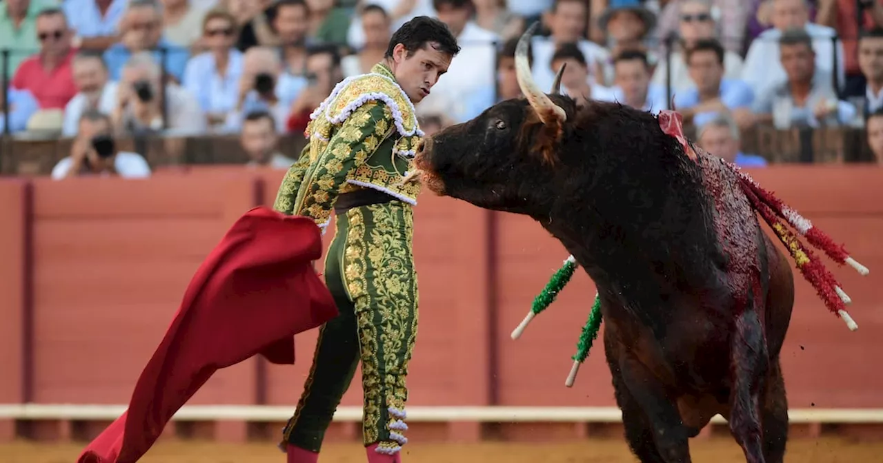 Bullfights in Spain and Portugal should be child-free zones, say campaigners