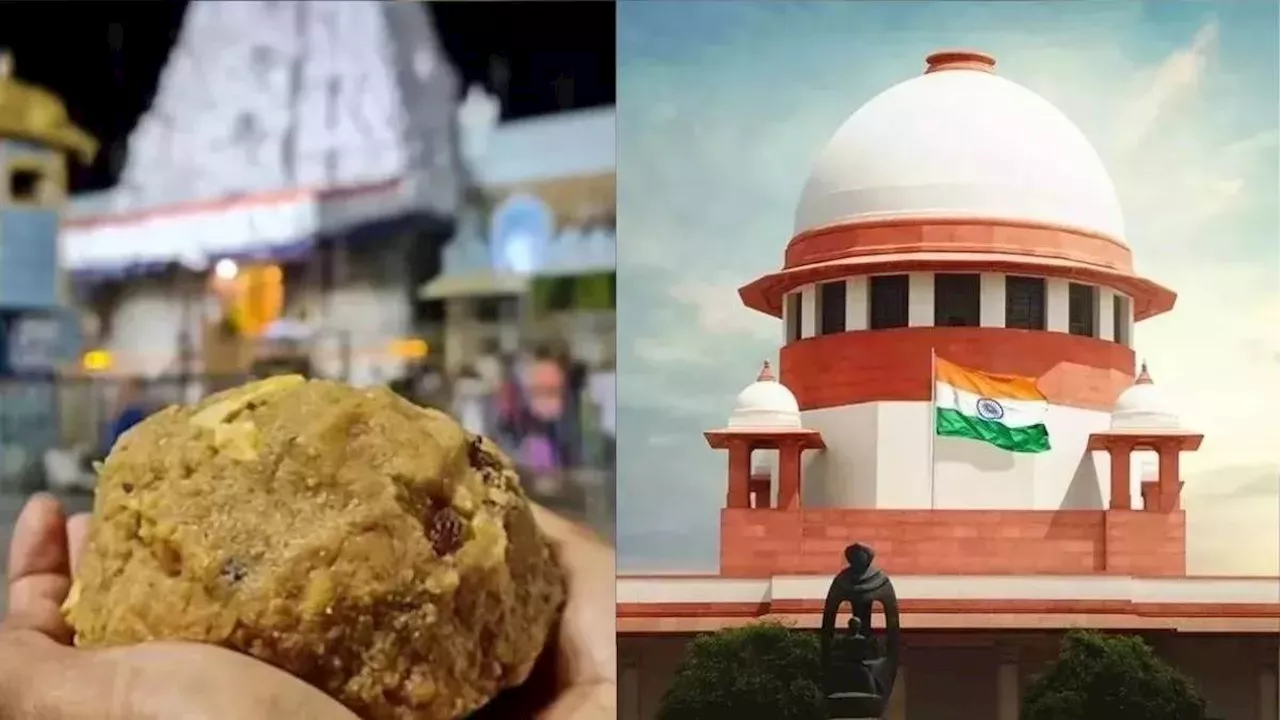 Tirupati Laddu Case: 'दुनियाभर के लोगों की आस्था को पहुंची ठेस', SC ने जांच के लिए SIT गठित करने का दिया आदेश