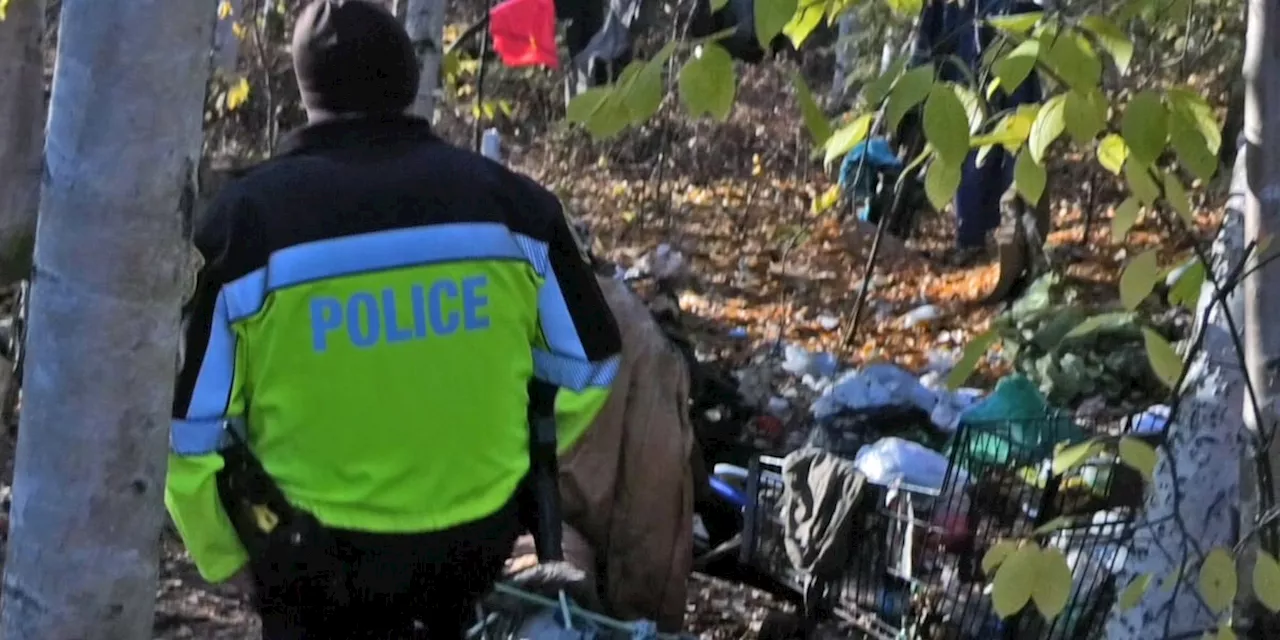 Fairbanks Police Department clears out homeless encampment