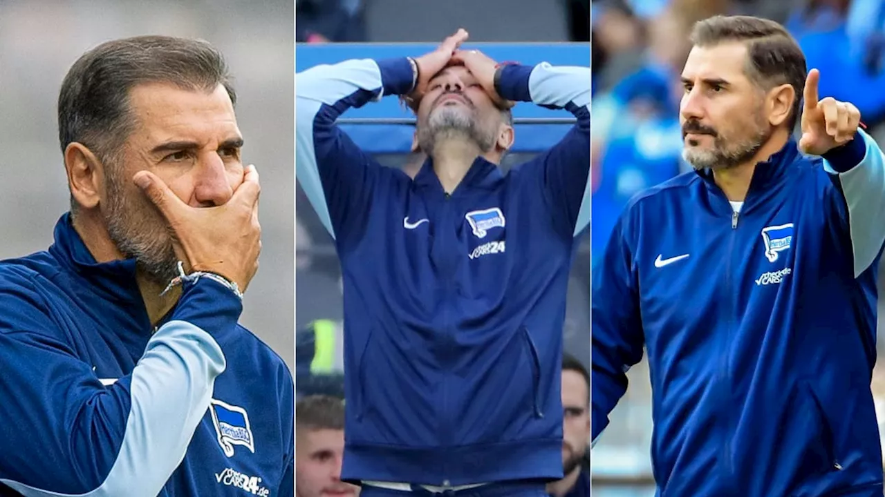 Hertha unter Fiel: Die Suche nach dem Gleichgewicht