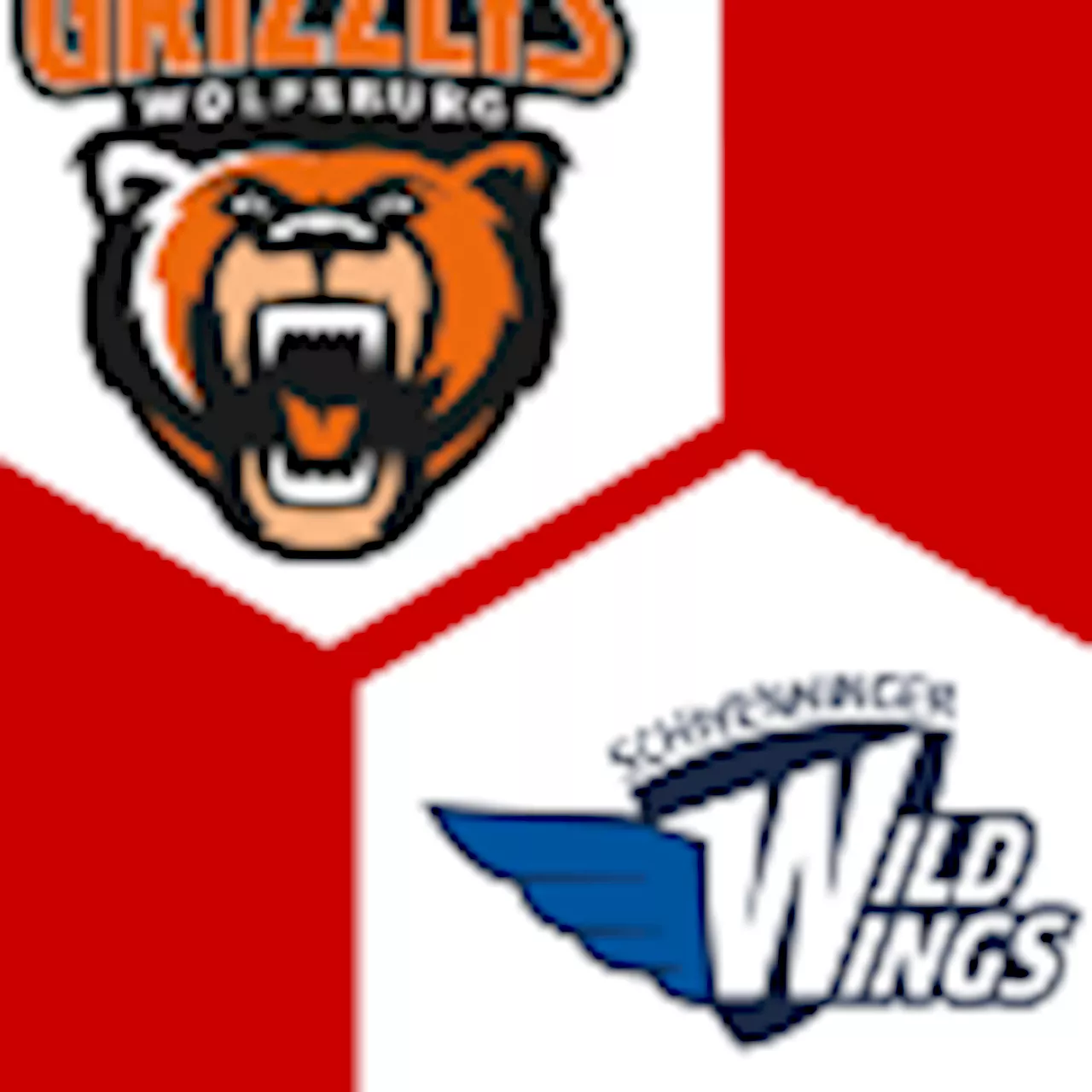 Schw. Wild Wings 0:1 | 6. Spieltag | Deutsche Eishockey-Liga 2024/25