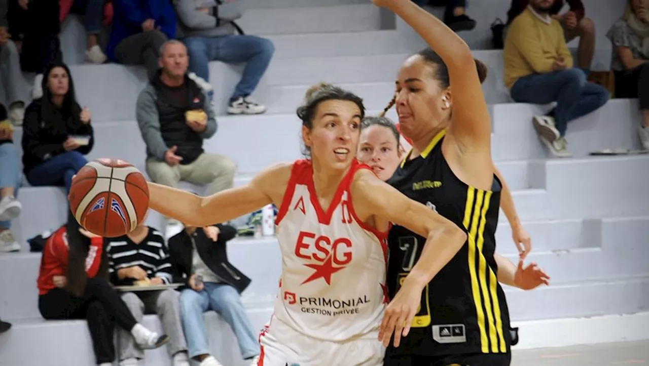 – Nationale féminine 2 : l’ES Gimont veut se reprendre sur le parquet de Basket Landes