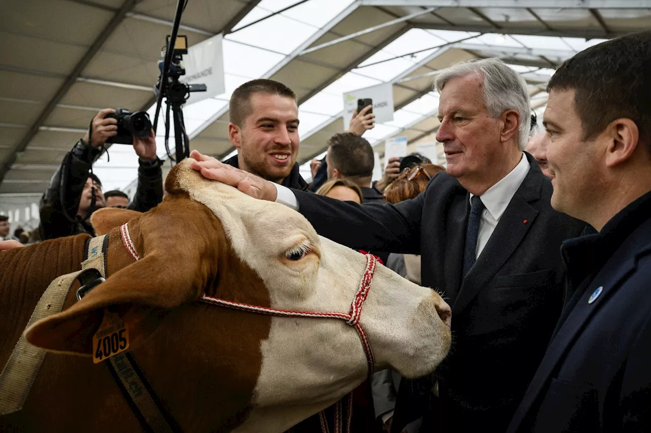 Agriculture: Barnier annonce des prêts garantis, 75 millions d'euros pour les éleveurs