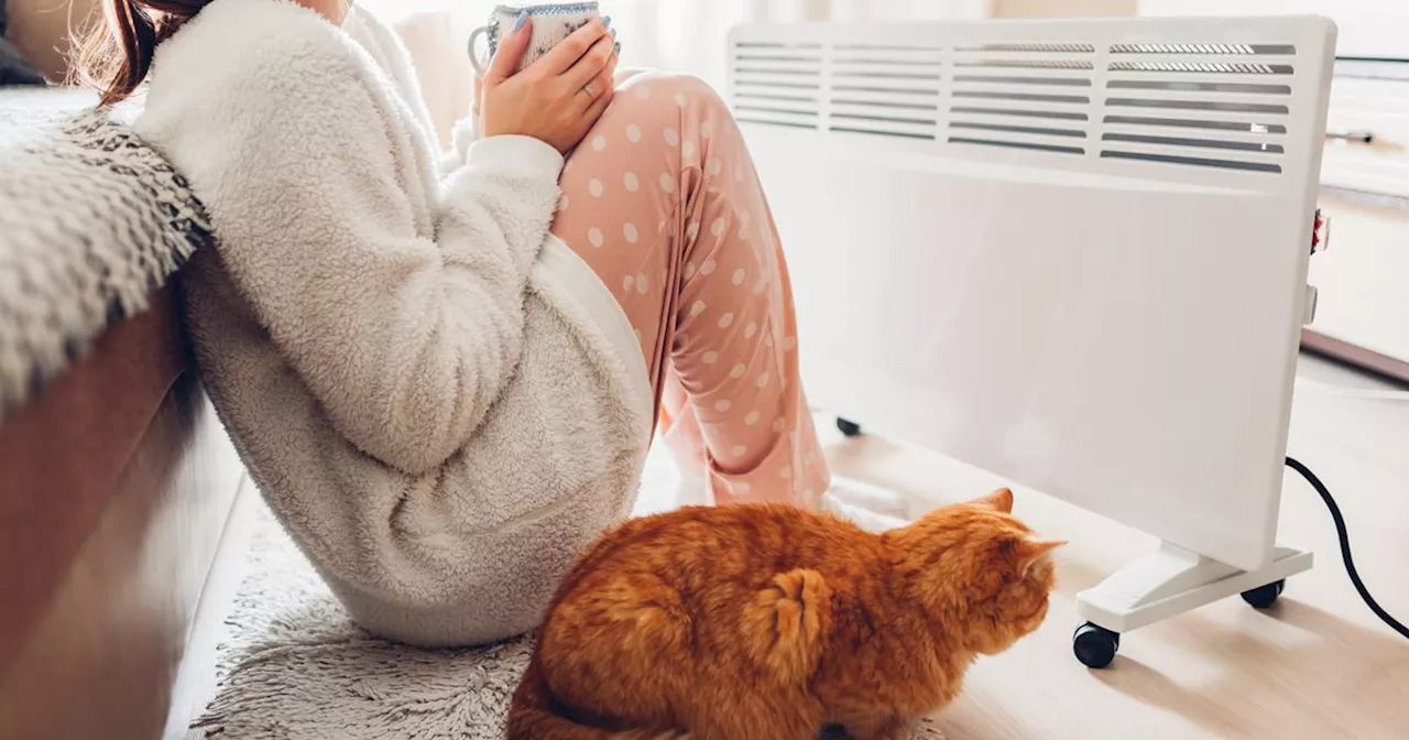 Quand faut-il allumer le chauffage (et à quoi faut-il penser avant) ?