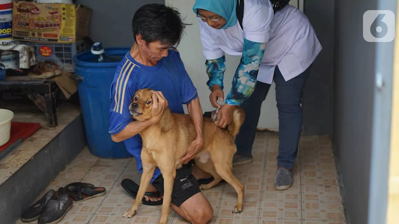 4 Oktober Memperingati Hari Hewan Sedunia, Begini Sejarahnya