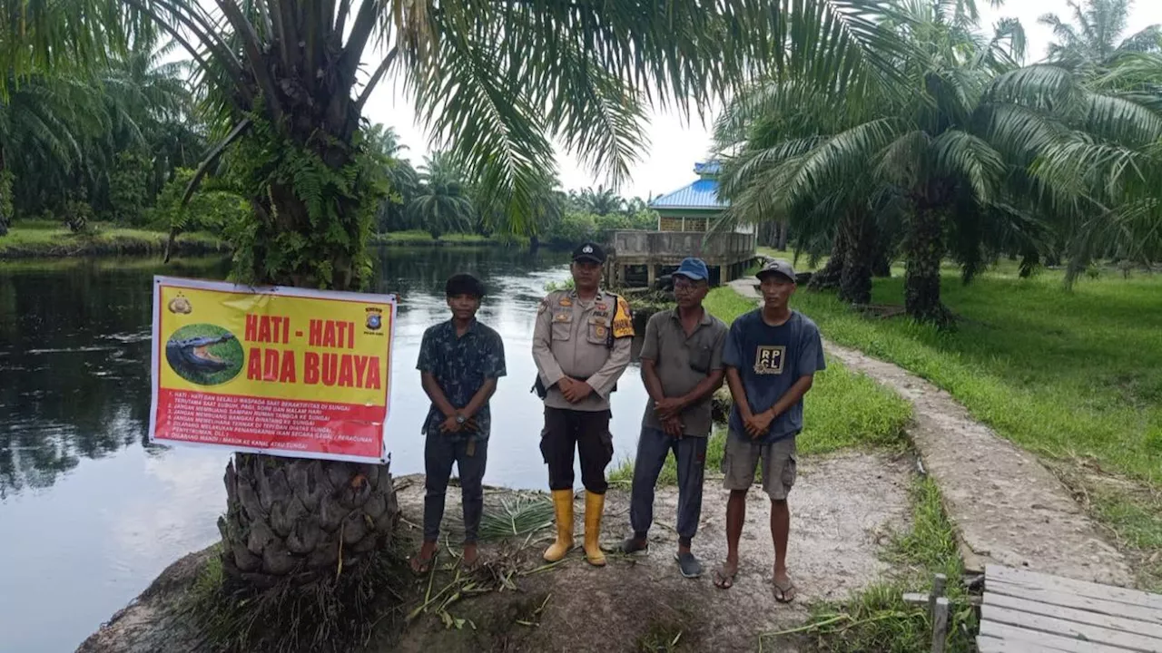 Atasi Konflik Buaya dan Manusia, Bhabinkamtibmas Rokan Hilir Sampaikan Pesan Damai Laksanakan Pilkada