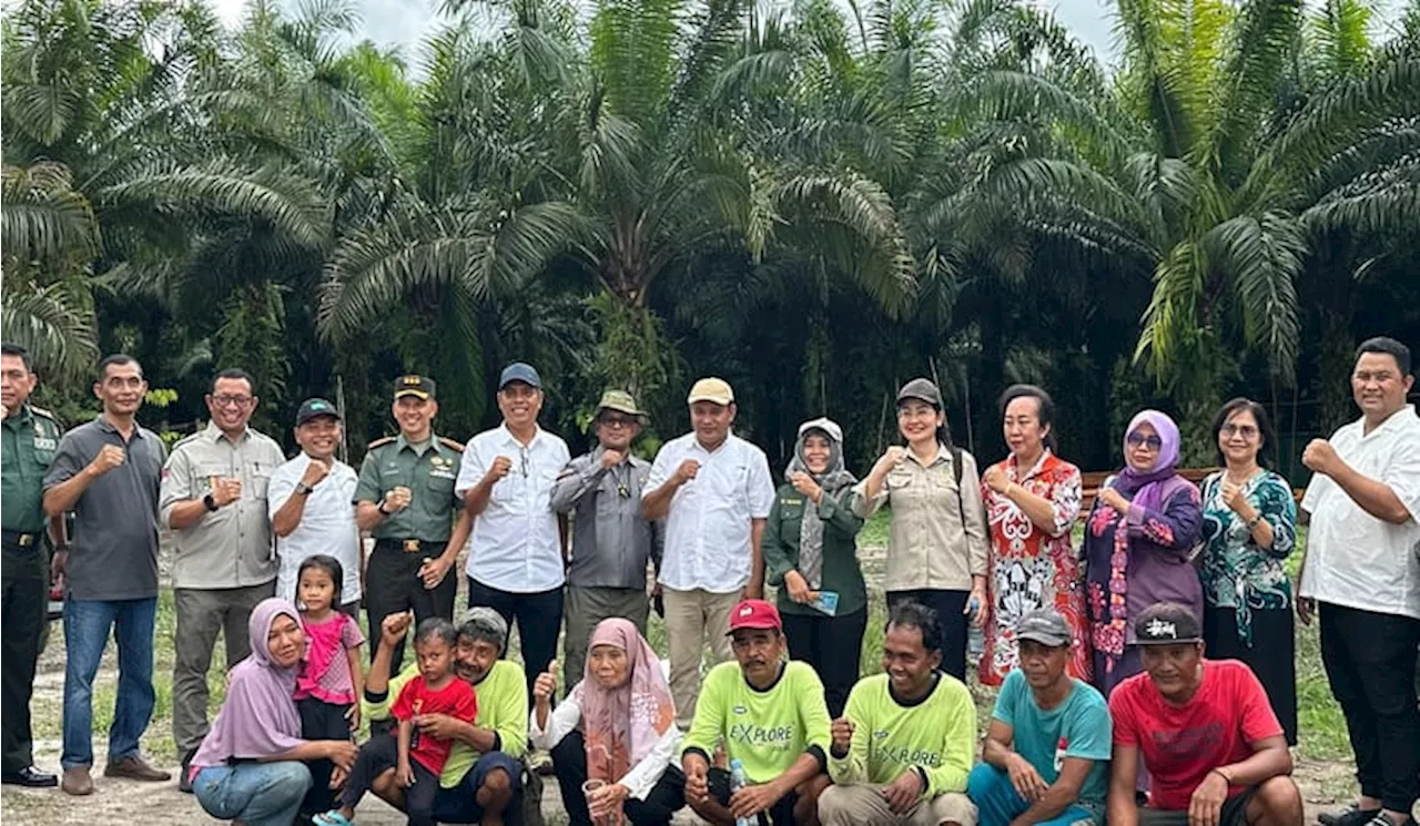 Tumpang Sisip Kelapa Sawit dengan Padi Gogo, Solusi Tingkatkan Produksi Padi dan Pendapatan Petani