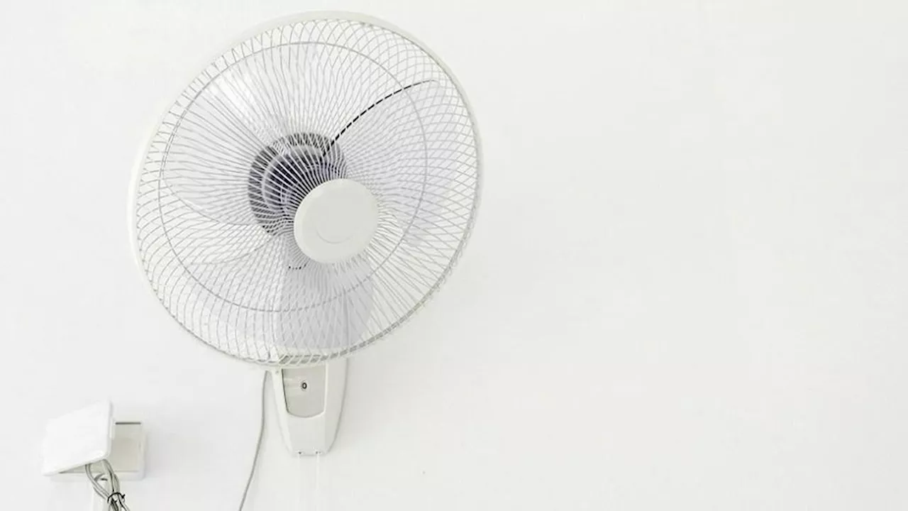 Best wall fans to keep your home cool and comfortable