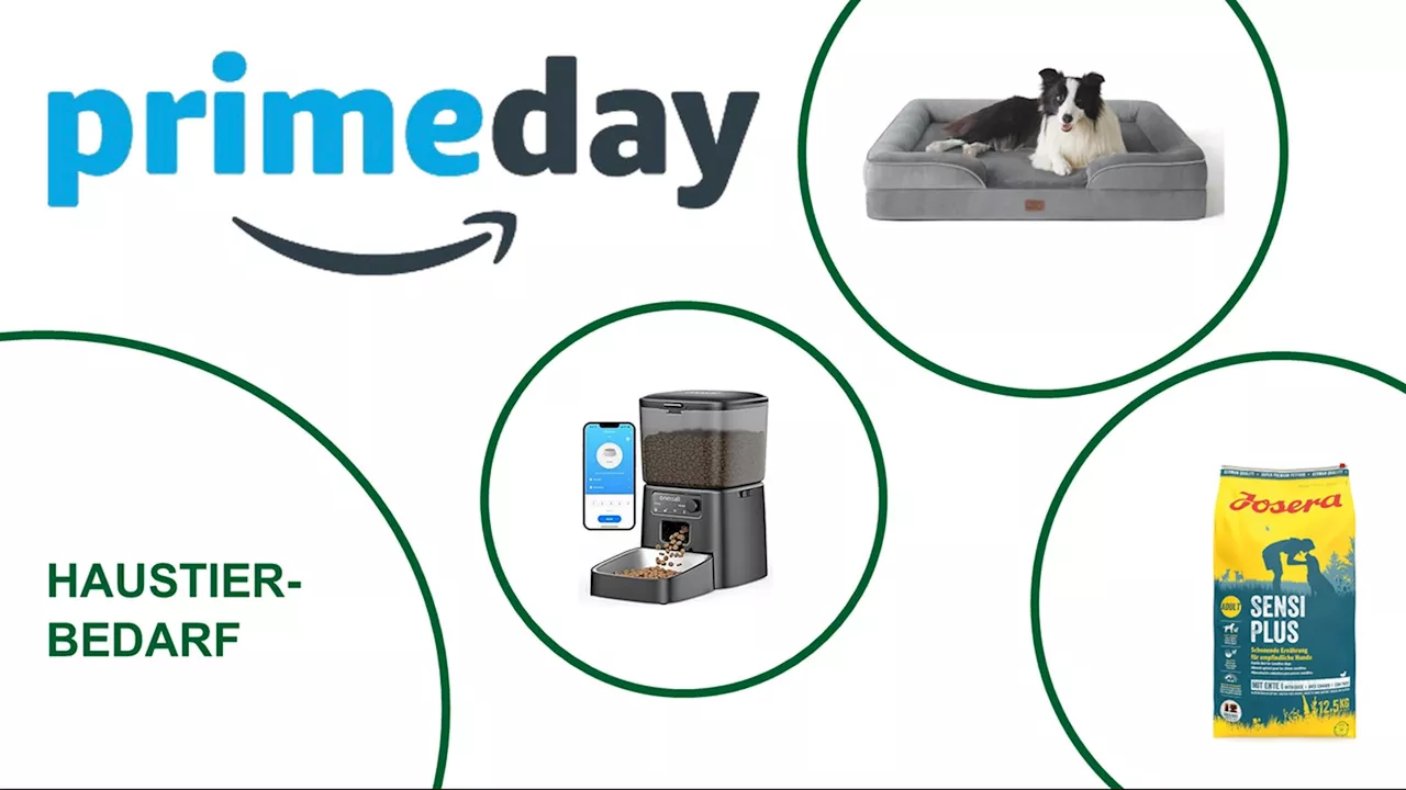 Tierbedarf vorm Prime Day: Die besten Angebote auf Amazon