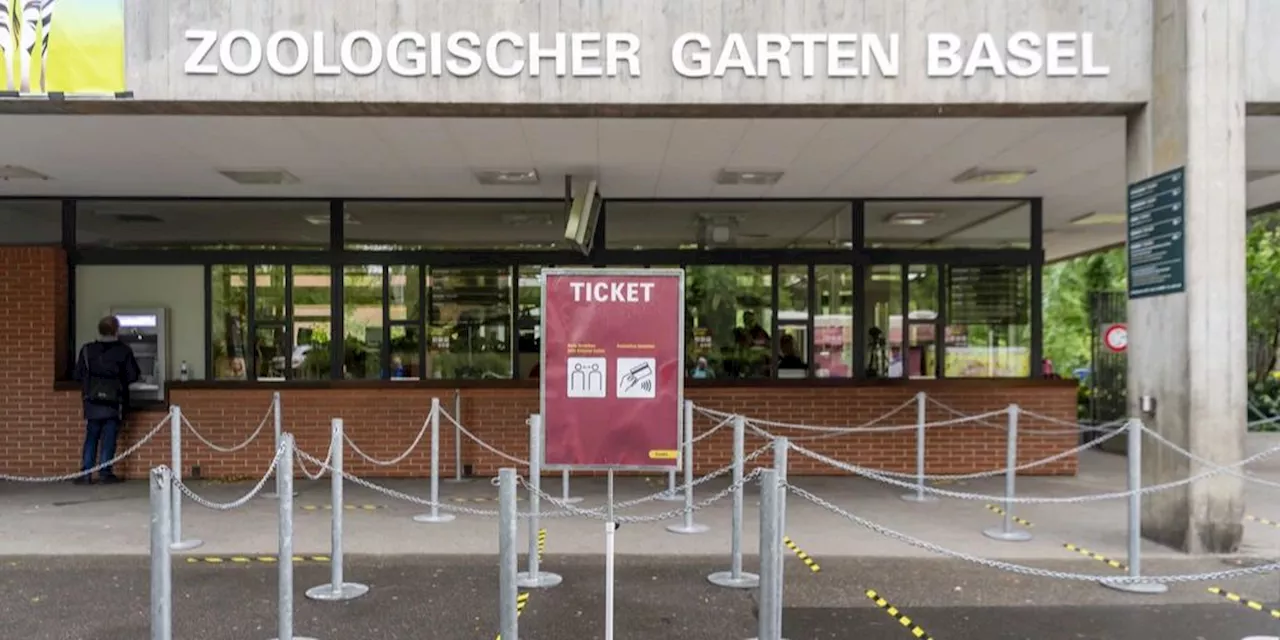 Beliebter Spielplatz muss wegen Zoo Basel weichen