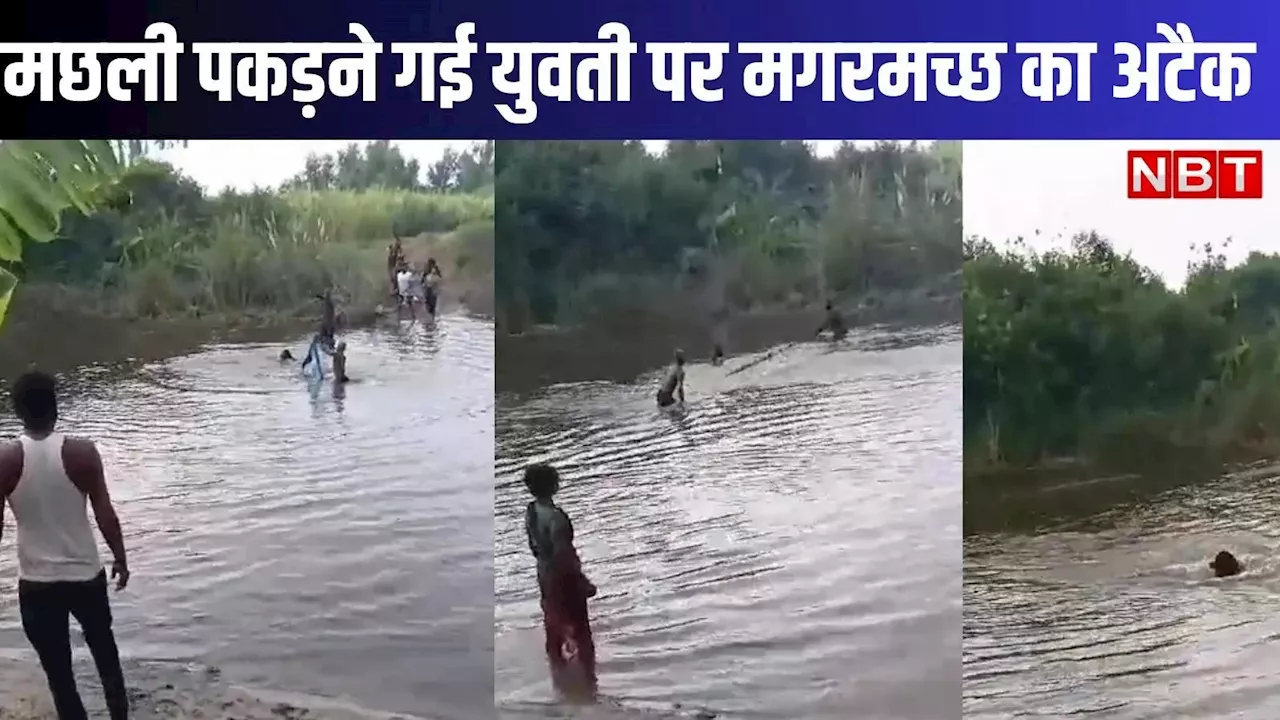 वो मछली पकड़ रही थी, तभी मगरमच्छ ने कर दिया अटैक, VIDEO देख सिहर जाएगा कलेजा