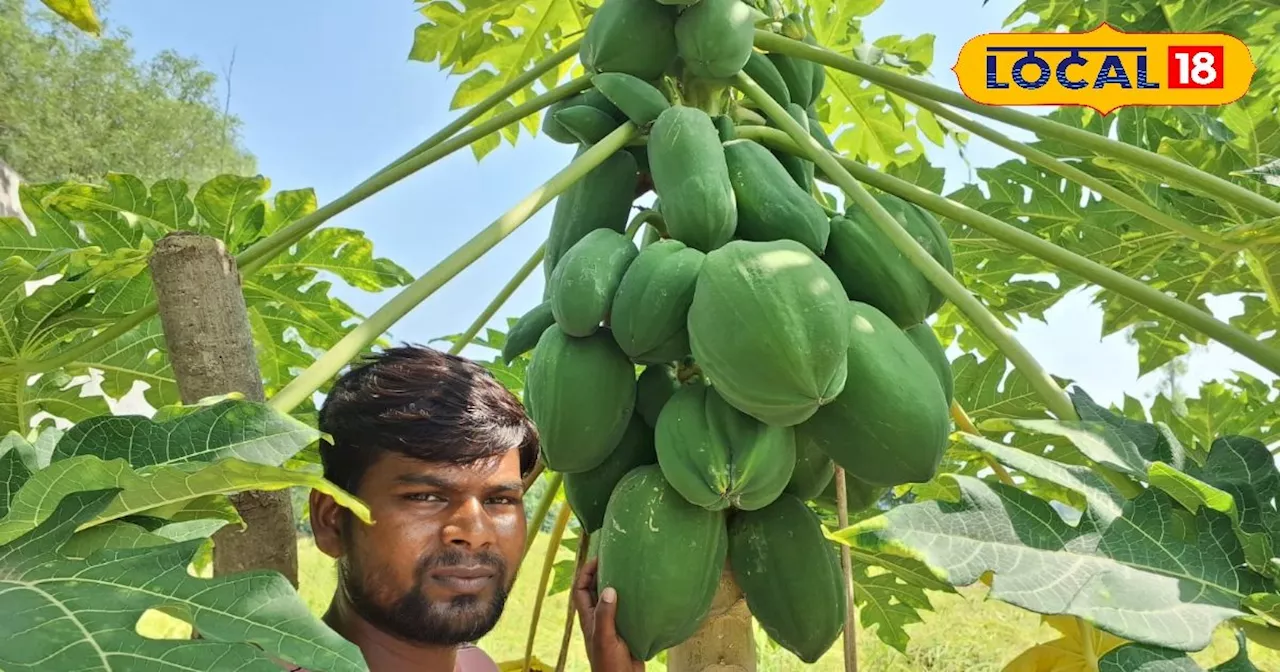 धान-गेहूं छोड़ युवा किसान ने शुरू की इस फल की खेती, अब सालाना लाखों में कमा रहे हैं मुनाफा