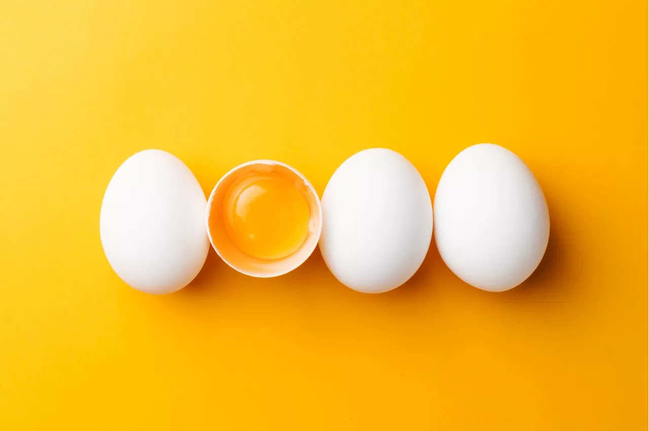 Could eating eggs prevent dementia?