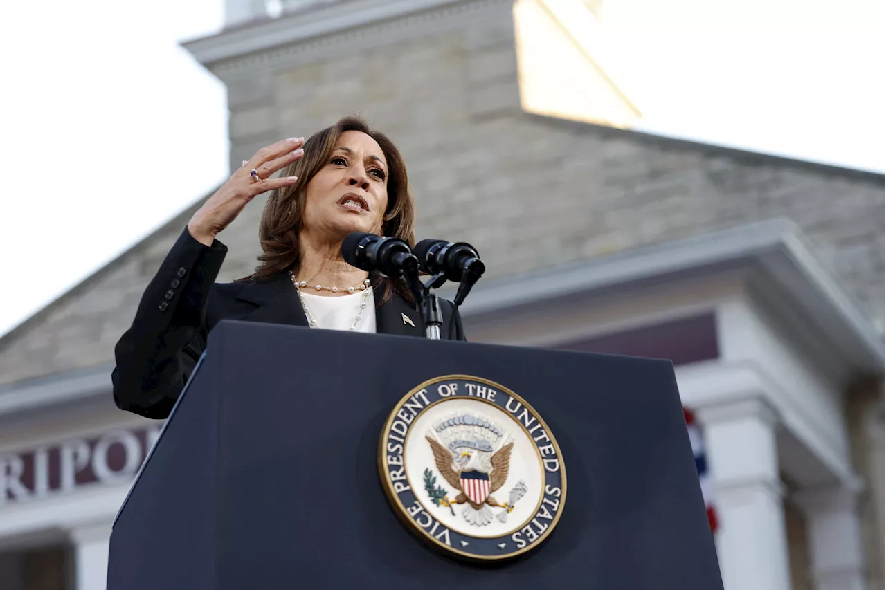 MSNBC Host Warns Kamala Harris 'Needs Help'