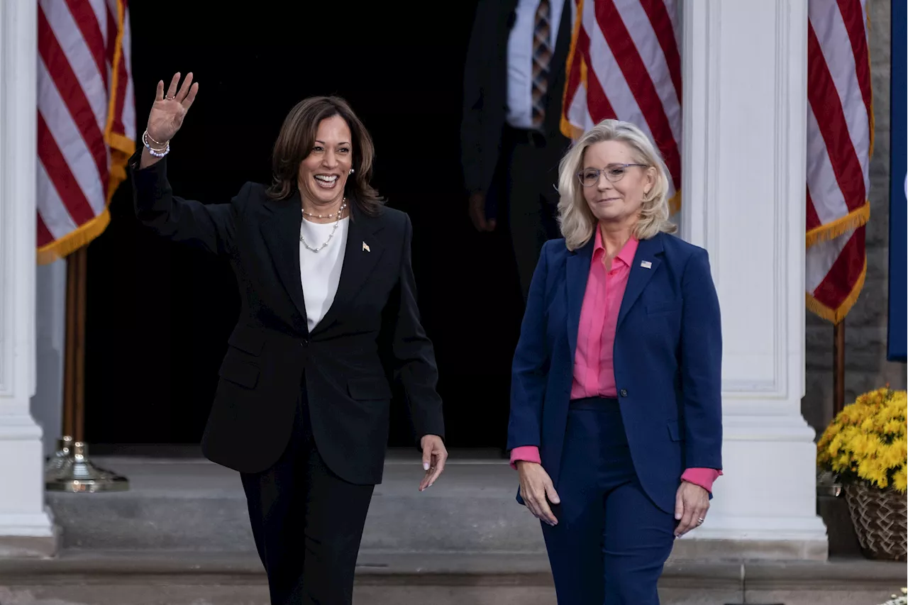 Trump Hits Back at Liz Cheney After Spray-Tan Jibe at Kamala Harris Event