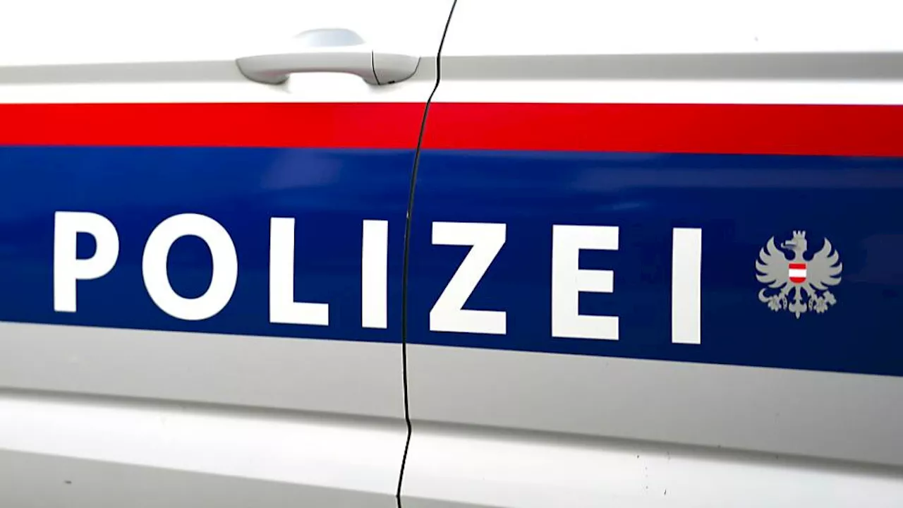 62-Jährige in Wien mit Holzstock totgeprügelt