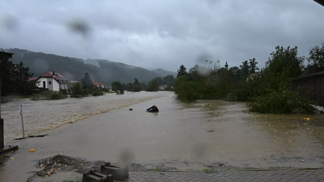 Grundbesitz erschwert Hochwasserschutz in Zelking-Matzleinsdorf