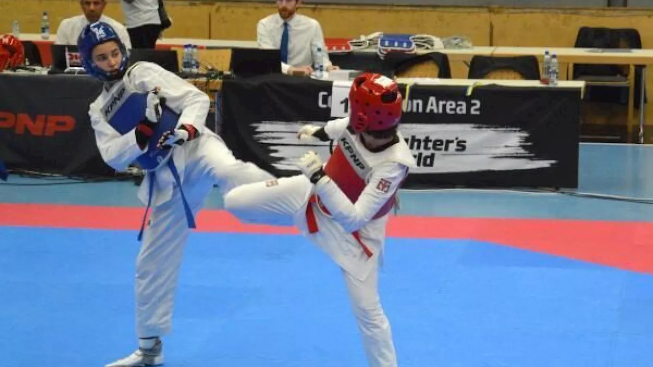 Silber und Bronze für Mistelbacher Taekwondo-Kämpfer