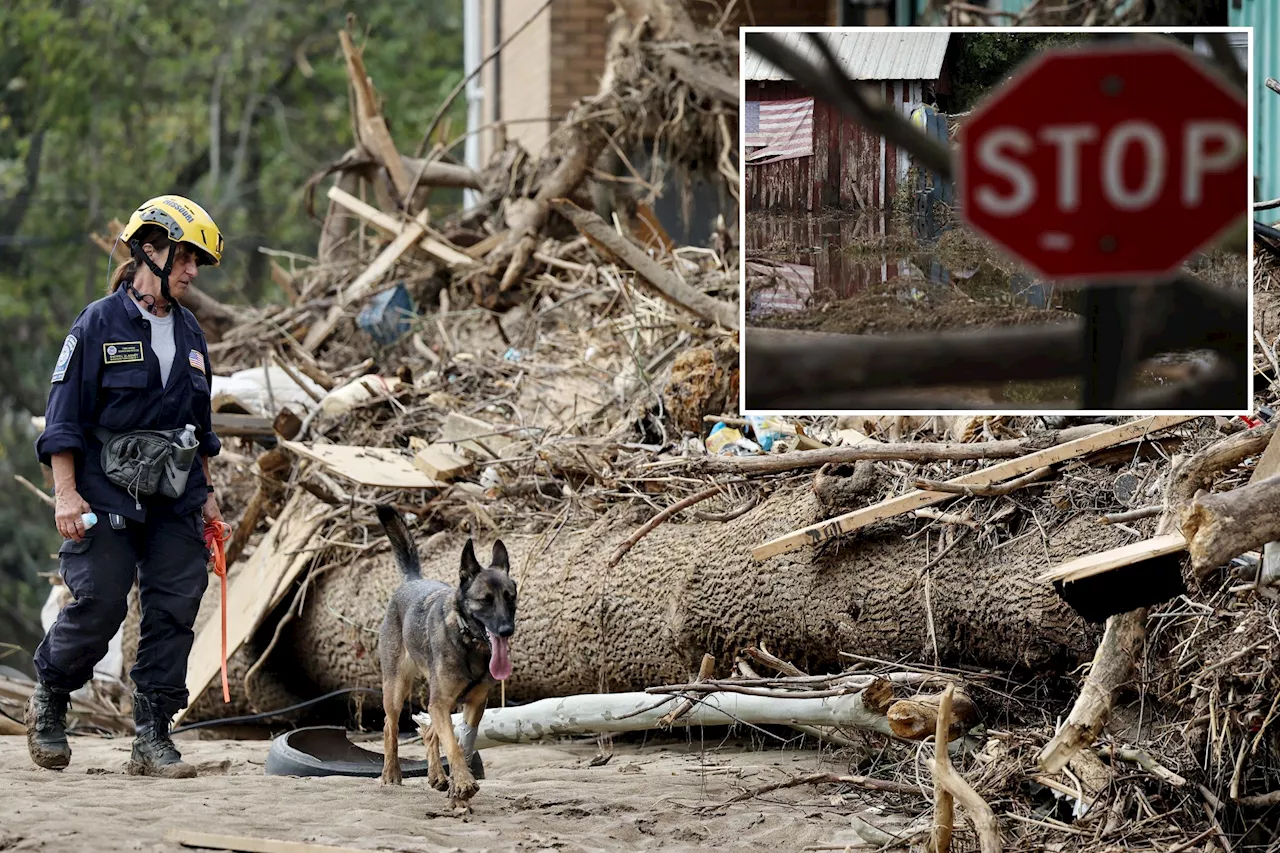 Con men target Hurricane Helene victims in North Carolina with $280 tree removal scams, TikToker warns