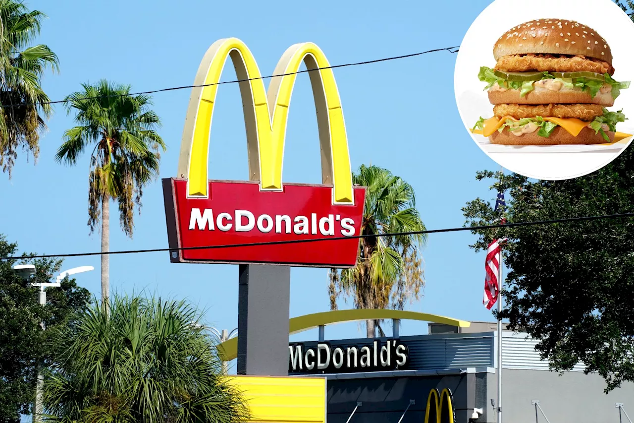 McDonald's chicken Big Mac to debut in the US after meteoric success abroad