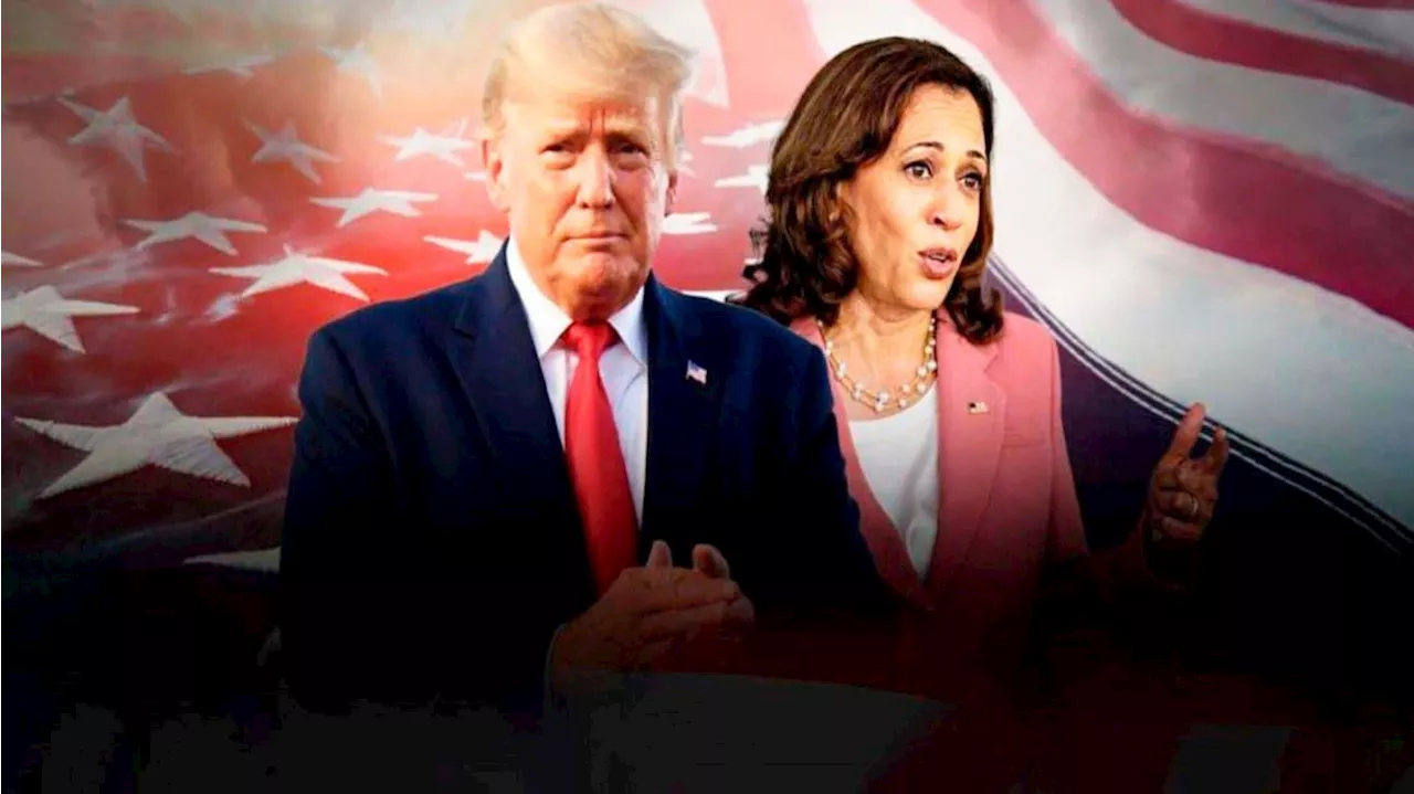 Casi empatados, Kamala Harris y Donald Trump luchan voto a voto en siete estados 'bisagra'