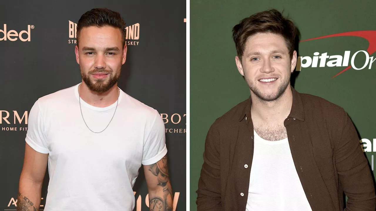 One-Direction-Reunion? Liam Payne will mit Niall Horan reden