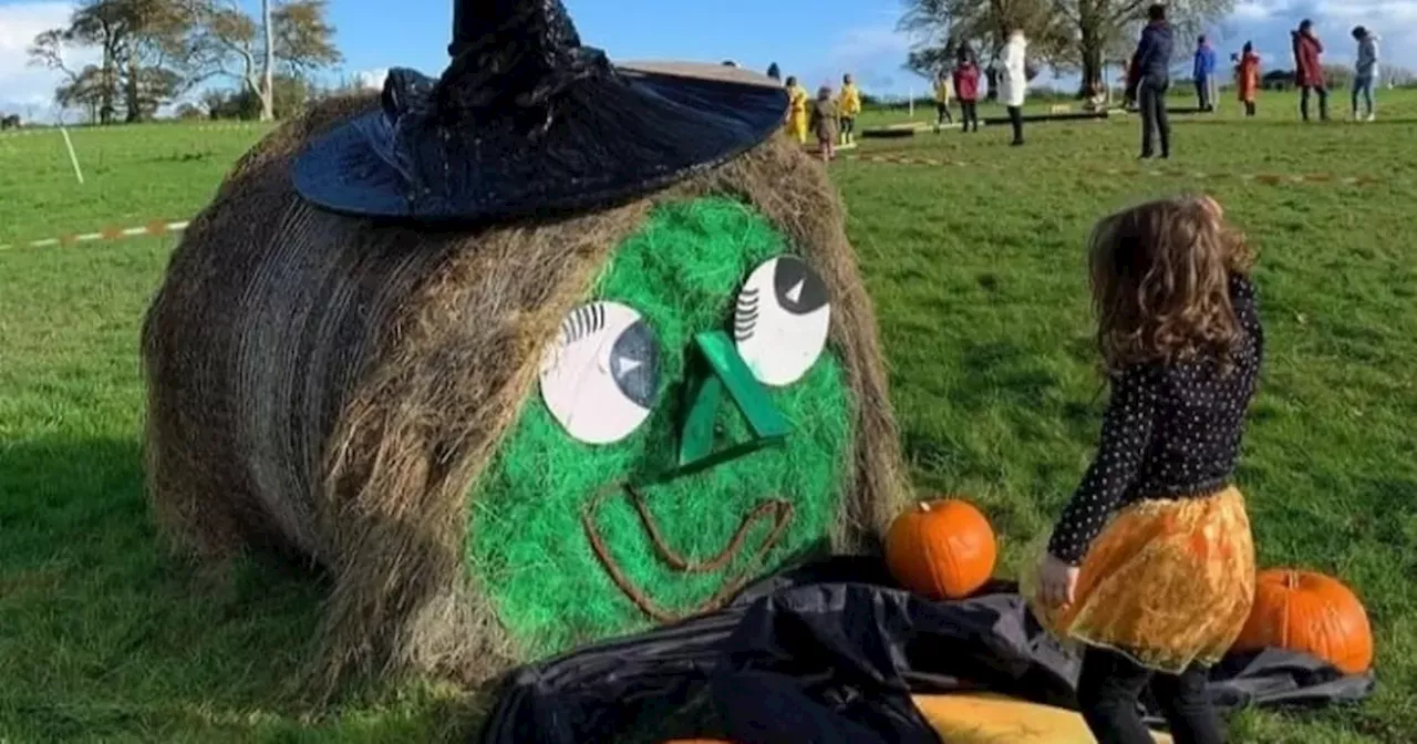 Halloween 2024: Five pumpkin picking patches around Ireland that still have tickets available