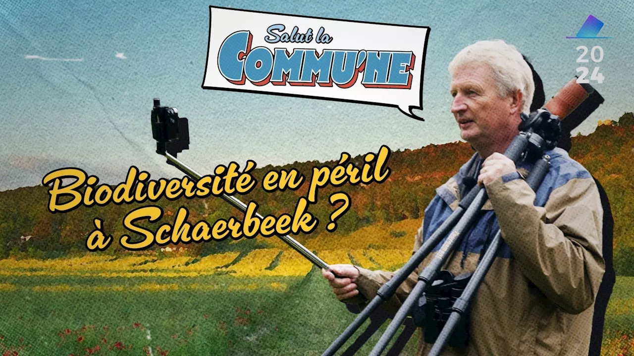 'Salut la commu'ne' : Benoît s'inquiète pour le futur de la biodiversité de la friche Josaphat à Schaerbeek