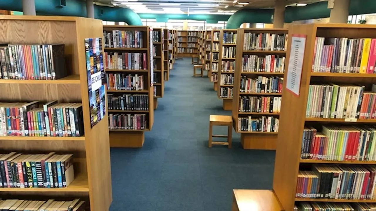 Closure of libraries lamented amid low reading levels in SA - SABC News - Breaking news, special reports,