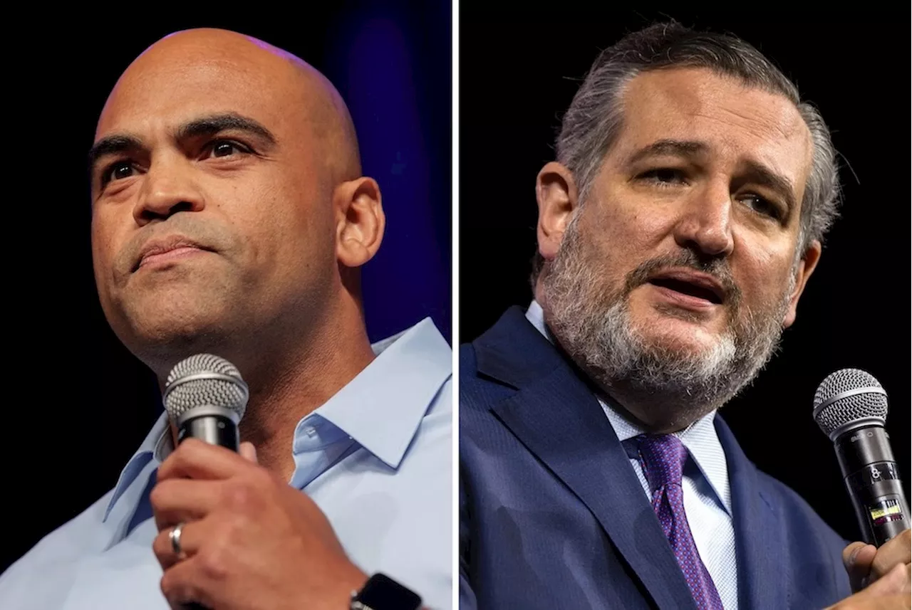 Colin Allred narrows gap in Texas Senate race, but can he win?