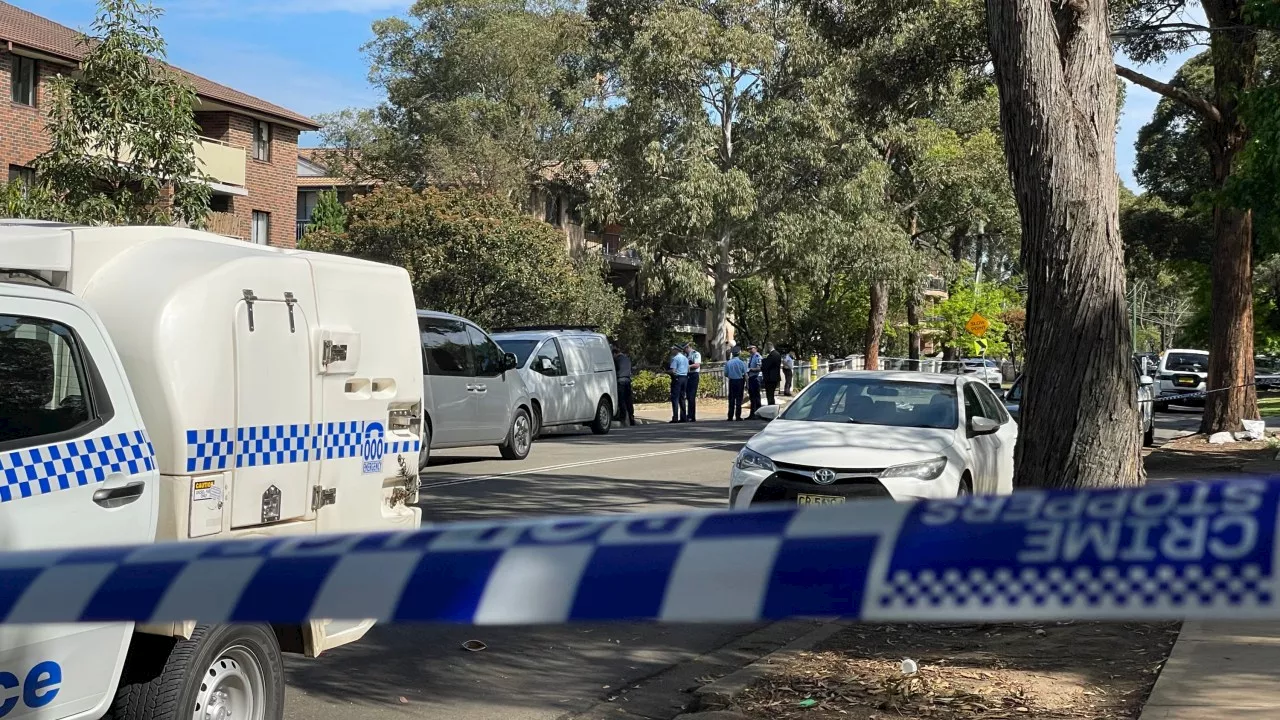 Two men shot after theft of NSW Labor MP’s car